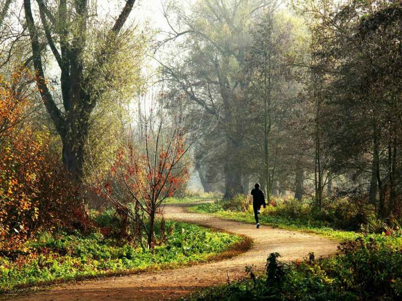 warmupinautumn.jpg